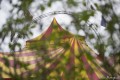cirque avril 2016 03